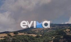 Φωτιά στην Κάρυστο