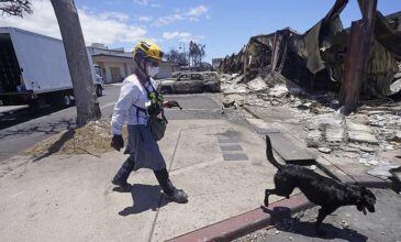 Χαβάη: Αυξάνεται ο τραγικός απολογισμός από τις φωτιές – Στους 93 οι νεκροί