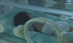 Κύκλωμα εμπορίας βρεφών στα Χανιά: Ζευγάρια από το εξωτερικό ζητούν εξετάσεις DNA για τα μωρά τους