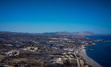 ΣΥΡΙΖΑ: Η πρόταση του κόμματος για την επόμενη ημέρα της Ρόδου μετά τις καταστροφικές πυρκαγιές