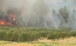 Ηράκλειο: Σε εξέλιξη αλλά σαφώς οριοθετημένη, φωτιά στο Ασήμι Γόρτυνας