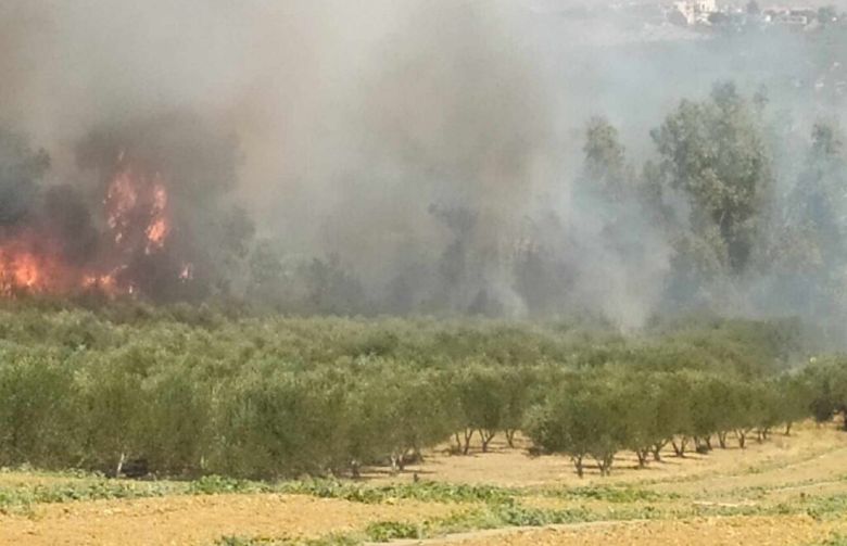 Ηράκλειο: Υπό μερικό έλεγχο τέθηκε η φωτιά στις Αρχανές