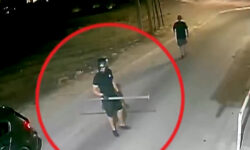 Νέα Φιλαδέλφεια: Το προφίλ του οπαδού του Παναθηναϊκού που συνελήφθη – Τι βρέθηκε στην κατοχή του
