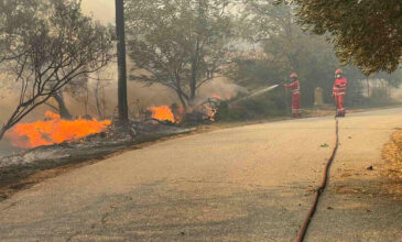 Μεγάλη φωτιά στον Έβρο: Μήνυμα του 112 για εκκένωση του οικισμού Παλινοστούντων Παλαγίας