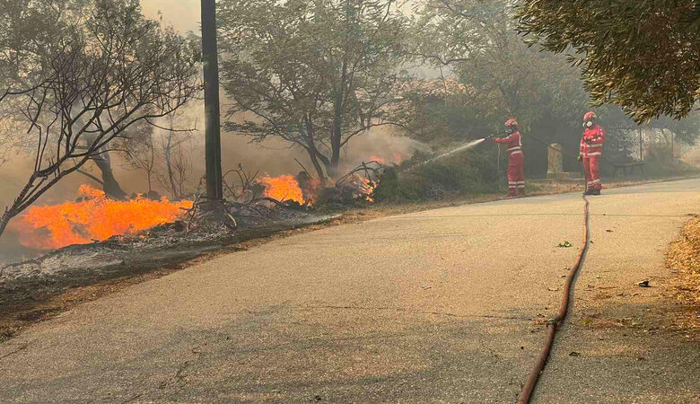 Μεγάλη φωτιά στον Έβρο: Μήνυμα του 112 για εκκένωση του οικισμού Παλινοστούντων Παλαγίας