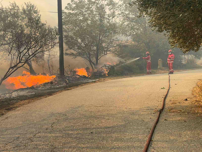 Μεγάλη φωτιά στον Έβρο: Μήνυμα του 112 για εκκένωση του οικισμού Παλινοστούντων Παλαγίας