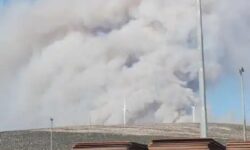 Μεγάλη φωτιά εκδηλώθηκε ξανά στον Πρόδρομο Βοιωτίας