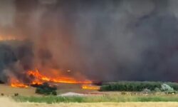 Μεγάλη φωτιά στον Έβρο: Εντοπίστηκε νεκρός στην Λευκίμμη – Εκκενώνεται το νοσοκομείο στην Αλεξανδρούπολη