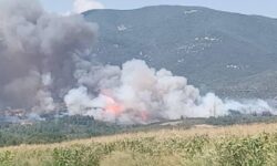 Φωτιά σε δασική έκταση στην Καβάλα – Κάηκαν σπίτια στο Διαλεκτό