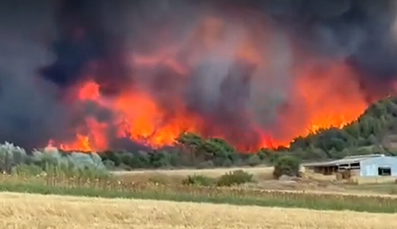 Μεγάλη φωτιά στον Έβρο: Ενισχύονται οι πυροσβεστικές δυνάμεις για να ελεγχθούν οι φλόγες στο δάσος Δαδιάς