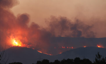 «Μάχες» με τις φλόγες σε δέκα μεγάλες φωτιές σε όλη την Ελλάδα – Οι 6 είναι σε Έβρο, Καβάλα και Ροδόπη
