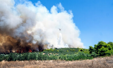 Μεγάλη φωτιά στην Εύβοια: Σε ετοιμότητα πλωτό του Λιμενικού και ιδιωτικά σκάφη στην Αρτάκη για την απομάκρυνση πολιτών