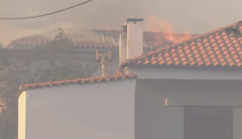 Φωτιά στη Ροδόπη: Κάηκαν 5-6 σπίτια στο χωριό Σώστης – Δύο τα πύρινα μέτωπα