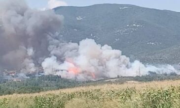 Φωτιά σε δασική έκταση στην Καβάλα – Κάηκαν σπίτια στο Διαλεκτό