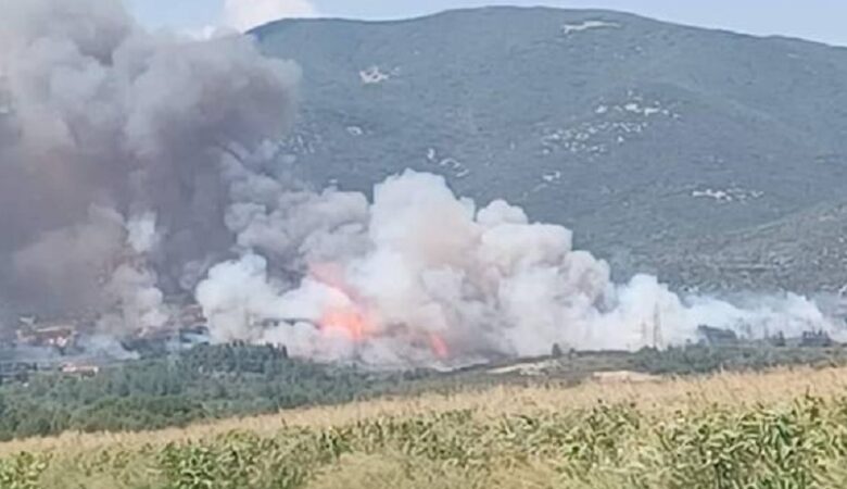 Φωτιά σε δασική έκταση στην Καβάλα – Κάηκαν σπίτια στο Διαλεκτό