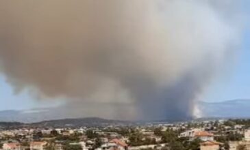 Μεγάλη φωτιά στην Εύβοια: Στα πρώτα σπίτια στα Ψαχνά έφθασαν οι φλόγες – Μήνυμα του 112 στους κατοίκους