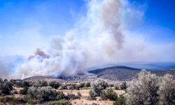 Φωτιά στη Βοιωτία: Σε εξέλιξη τα πύρινα μέτωπα σε Πρόδρομο και Ταρσό