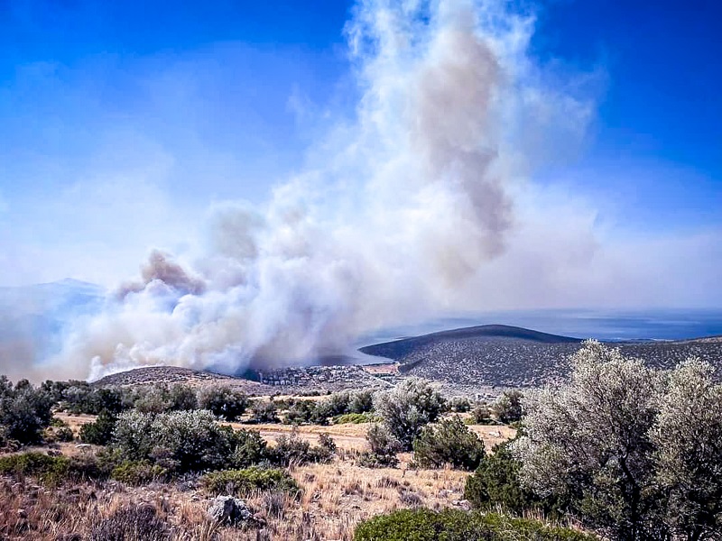 Μεγάλη φωτιά στη Βοιωτία: Εφιάλτης οι συνεχείς αναζωπυρώσεις