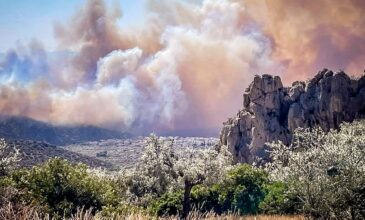 Μεγάλη φωτιά στη Βοιωτία: Δύσκολη η κατάσταση λόγω των ισχυρών ανέμων – Στα 10χλμ. το μήκος του πύρινου μετώπου