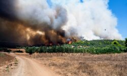 Φωτιά στην περιοχή Μεταξάδα Μεσσηνίας