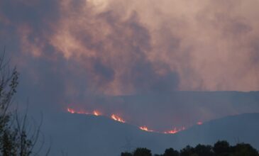 Ολονύχτια μάχη με τα πύρινα μέτωπα σε Βοιωτία, Ροδόπη, Καβάλα και Κύθνο