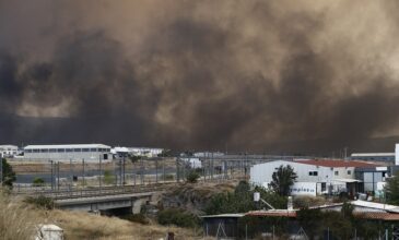 Φωτιά στον Ασπρόπυργο: Νέα αναζωπύρωση – Μήνυμα του 112 για εκκένωση από το Σοφό