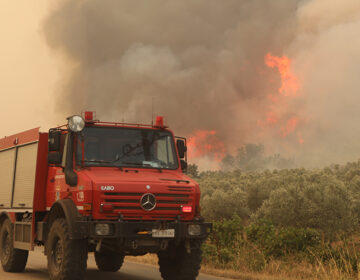 Καλύτερη η εικόνα της φωτιάς στο Λασίθι: Μόνο διάσπαρτους καπνούς αντιμετωπίζουν πλέον οι πυροσβεστικές δυνάμεις