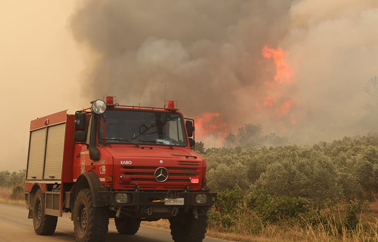 Ξέσπασε φωτιά σε δασική έκταση στον Άγιο Μεσσαπίων Ευβοίας