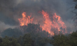 Σε εξέλιξη φωτιά σε δασική έκταση στην περιοχή Μαυροβούνι Λακωνίας