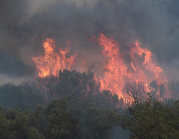 Σε εξέλιξη φωτιά σε δασική έκταση στην περιοχή Μαυροβούνι Λακωνίας