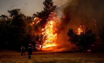 Λάρισα: Μεγάλη κινητοποίηση της Πυροσβεστικής για φωτιά στον Αετόλοφο Αγιάς