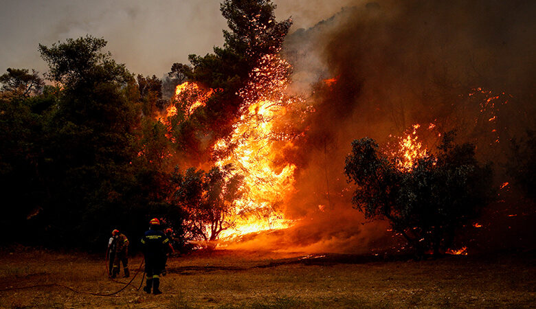 Φωτιά στον Έβρο: Μήνυμα του 112 για εκκένωση – «Απομακρυνθείτε προς Κομοτηνή»