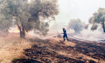 Σε εξέλιξη η φωτιά σε ορεινή περιοχή του Δήμου Καντάνου- Σελίνου στα Χανιά