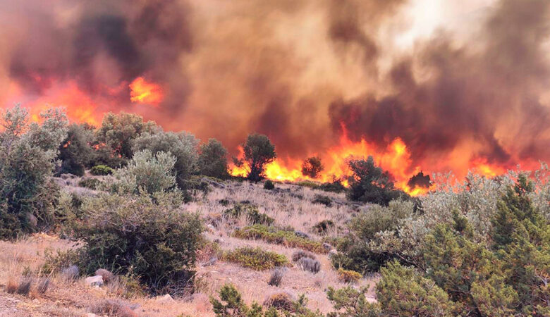 Μεγάλη η φωτιά στον Έβρο: Εκκενώθηκαν τρεις οικισμοί
