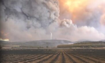 Μεγάλη φωτιά στον Έβρο: Βρέθηκαν 18 απανθρακωμένα πτώματα στο δάσος της Δαδιάς