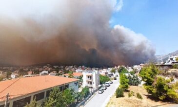 Φωτιά στη Φυλή Αττικής: Καίγονται σπίτια – Το πύρινο μέτωπο απείλησε την Μονή Κλειστών