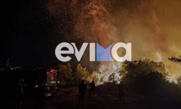 Μεγάλη φωτιά στην Εύβοια: Πύρινη κόλαση χωρίς νερό στα Ψαχνά