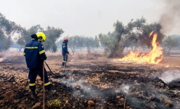 Φωτιά στην Εύβοια: Σε ένα μέτωπο κινείται η πυρκαγιά – Δεν κινδυνεύουν κατοικημένες περιοχές