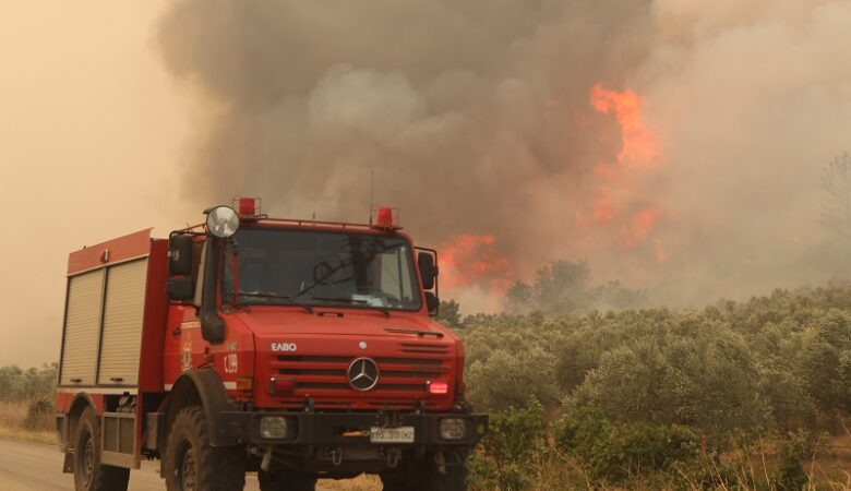 Φωτιά στον Έβρο: Ανεξέλεγκτα τα πύρινα μέτωπα – Μήνυμα του 112 για εκκένωση των περιοχών Κοίλα και Μελία