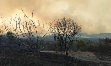 Ολονύκτια «μάχη» με τις φλόγες σε Έβρο και Ροδόπη – Οικισμοί έχουν μείνει χωρίς νερό και ηλεκτρικό