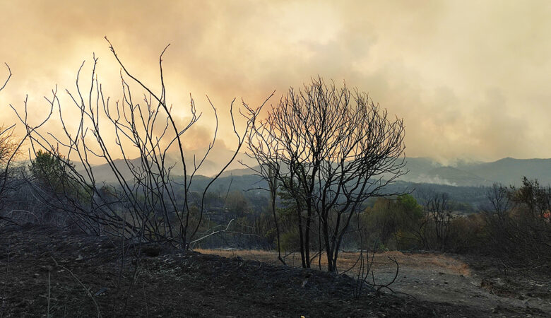 Ολονύκτια «μάχη» με τις φλόγες σε Έβρο και Ροδόπη – Οικισμοί έχουν μείνει χωρίς νερό και ηλεκτρικό