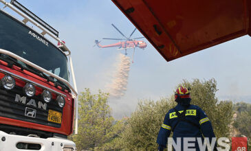 Φωτιά στην Πάρνηθα: Στα σπίτια στην Αγία Παρασκευή έφθασαν οι φλόγες – Μήνυμα του 112 για εκκενώσεις οικισμών- Δείτε εικόνες του News
