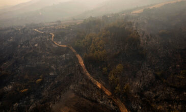 Φωτιά στον Έβρο: Τρία τα πύρινα μέτωπα – Εκκενώνονται οικισμοί