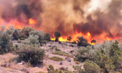 Βοιωτία: Σε εξέλιξη φωτιά στο Στείρι Διστόμου
