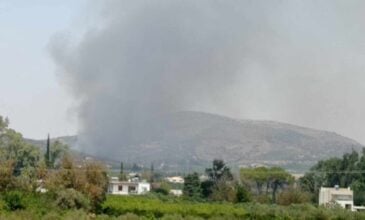 Φωτιά σε αγροτική έκταση του δήμου Άργους – Μυκηνών