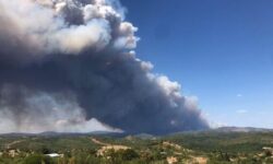 Φωτιά σε χαμηλή βλάστηση στο Καλαμίτσι Πρέβεζας