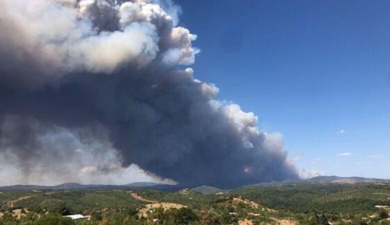 Φωτιές στον Έβρο: Ανησυχία για την κατεύθυνση του πύρινου μετώπου που μαίνεται για τρίτη μέρα στο δάσος της Δαδιάς