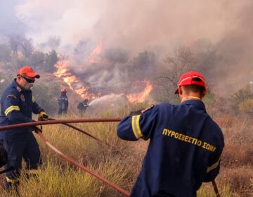 Αναζωπυρώσεις της φωτιάς σε Έβρο, σε Πάρνηθα και Βοιωτία – «Μάχη» με τις φλόγες και στην Άνδρο