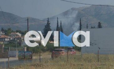 Φωτιά κοντά σε κατοικημένη περιοχή στην Ερέτρια της Εύβοιας