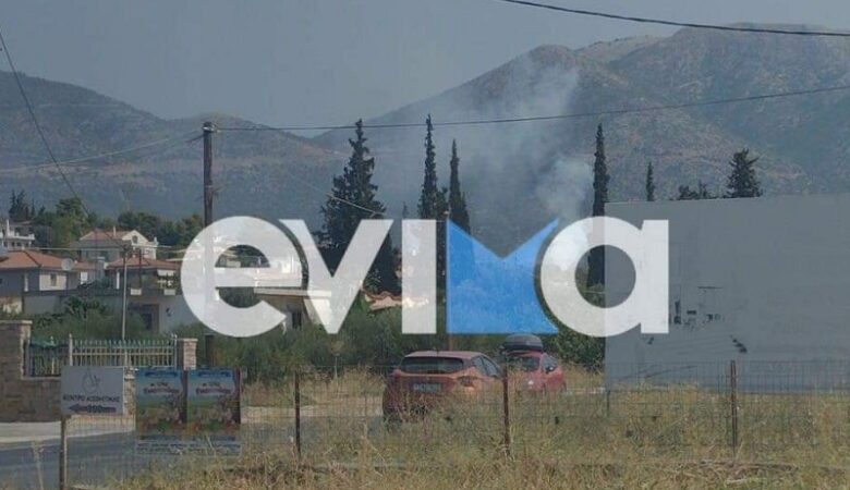 Φωτιά κοντά σε κατοικημένη περιοχή στην Ερέτρια της Εύβοιας
